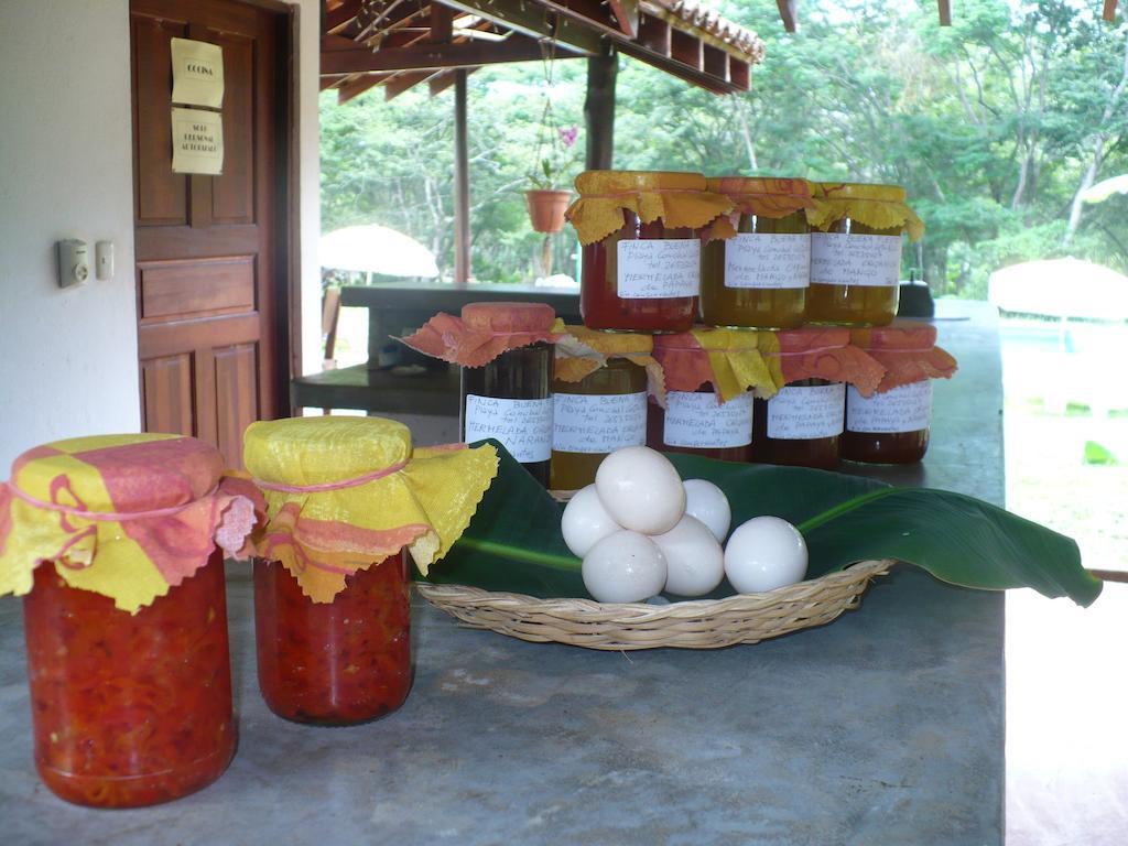 Finca Buena Fuente Residence Hotel นิโกยา ภายนอก รูปภาพ