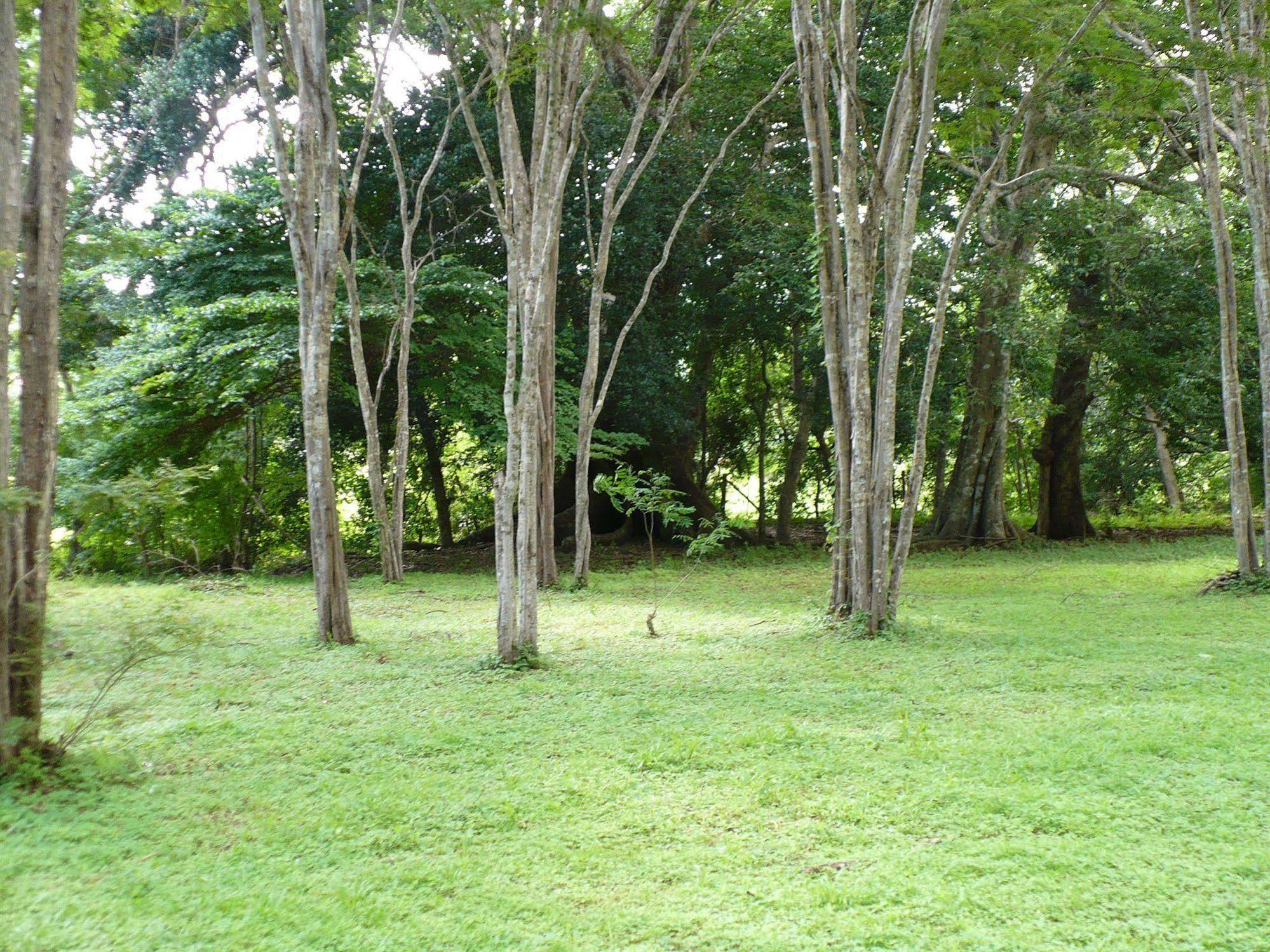 Finca Buena Fuente Residence Hotel นิโกยา ภายนอก รูปภาพ